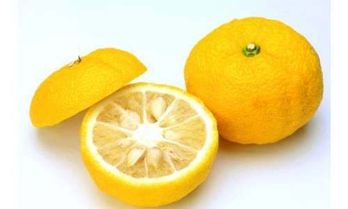 Yuzu